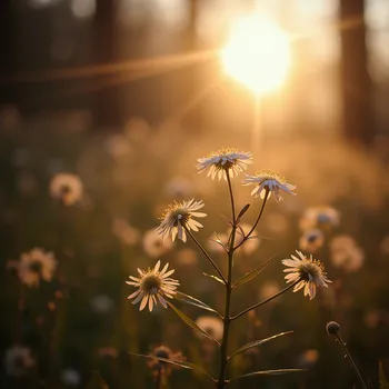 A Moment Captured by Light