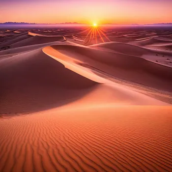 Desert Sunrise