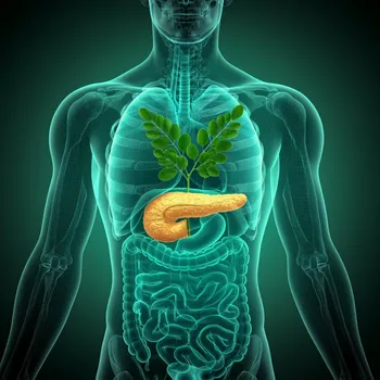 Futuristic Healing Hologram of Upper Torso