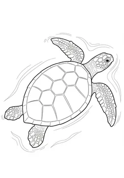 Monochrome Sea Turtle Outline Drawing