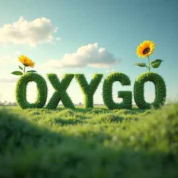 OXYGO: Eco-Professionalism
