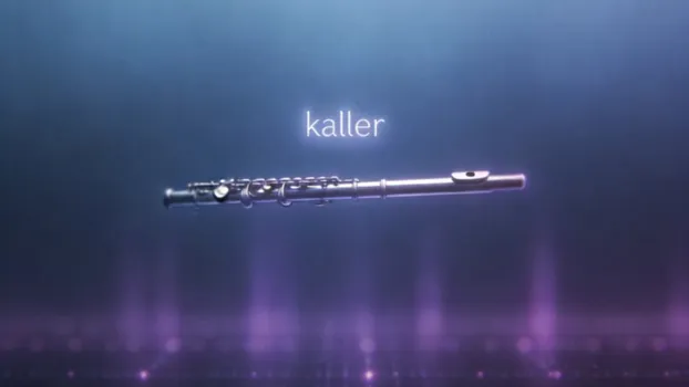 Rolig D-moll Drone med Pulserende Melodi