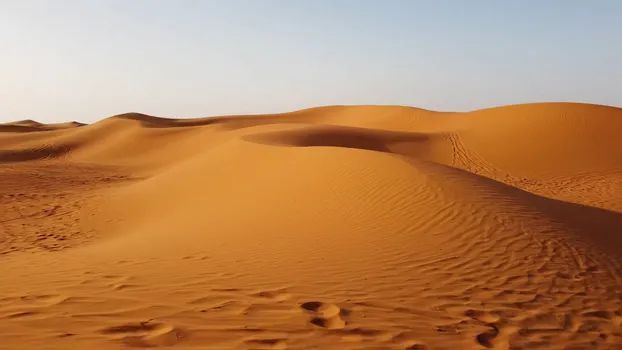 Sahara Sand Dune Ripples