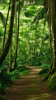 Tropical Jungle Sanctuary